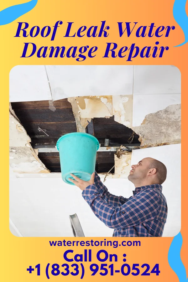Roof Leak Water Damage Repair in Zemple, MN