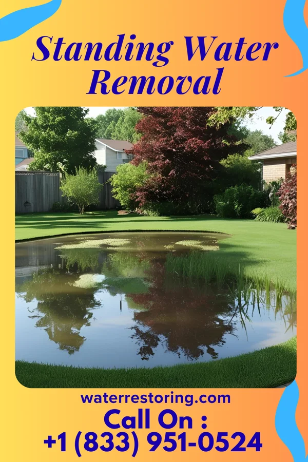Standing Water Removal in Zemple, MN